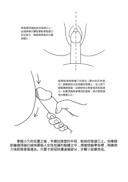 Page 17 of 抽插攻略：圖解陰道插入．活塞運動完全指南