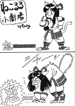 Page 12 of Nakoruru SP