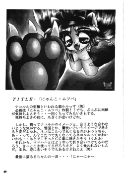 Page 28 of Nakoruru SP