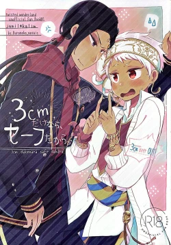 Page 1 of 3 CM is Safe!