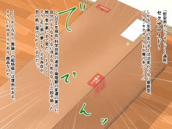 Page 3 of 「ワケあり」格安セクサロイドを衝動買いしたら、 超乳○リ少女が届いた。