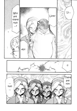 Page 23 of NISE Zelda no Densetsu Shinshou