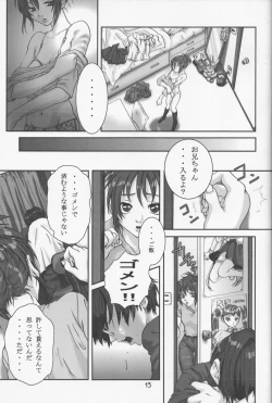 Page 13 of Saitei
