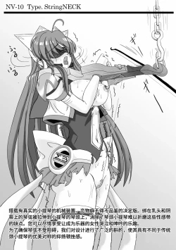 Page 13 of Monthly Restraint News NeckViolin特集号