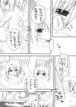 Page 26 of Chichi Usagi e no Shohousen