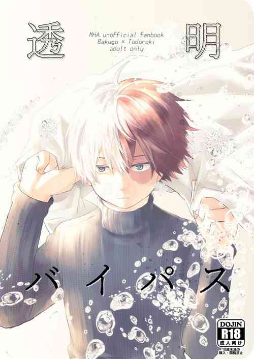 Download 透明バイパス