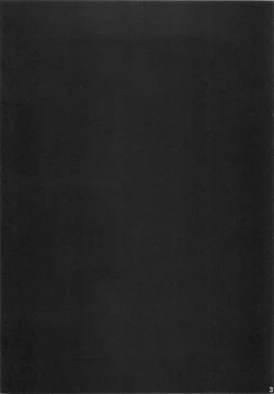 Page 31 of ○○sanchi no Shirousagi