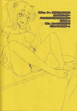 Page 4 of Tora no ashi