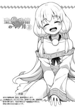 Page 2 of Seijo no Naisho no Ichikagetsu 3 | 圣女秘密的一个月 3