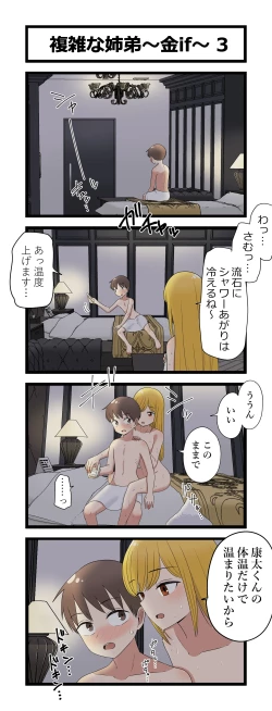 Page 3 of 複雑な姉弟～金if～