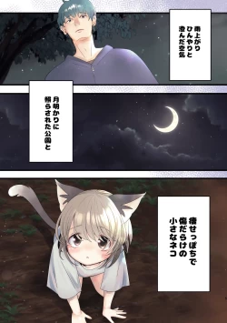 Page 3 of Kuze-san Chino Nekomimi Shounen