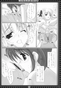 Page 11 of St. Lily's Day