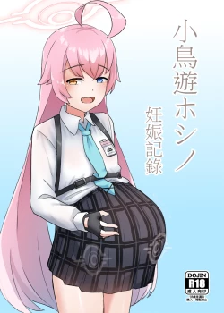 Page 1 of 小鳥遊ホシノ 妊娠記録 數位版現已上架