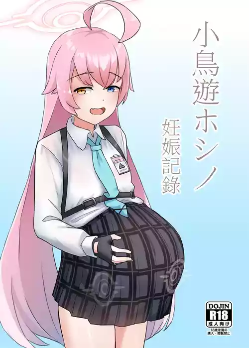 Download 小鳥遊ホシノ 妊娠記録 數位版現已上架