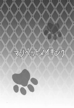 Page 2 of Maso Pet Making + Paper