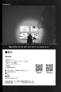 Page 33 of Voyeur