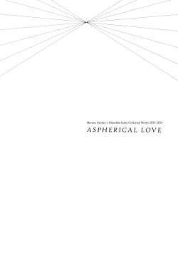 Page 3 of Aspherical Love
