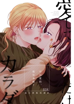 Page 1 of 愛していいのは_カラダだけ７旅行先のホテル—可以愛的、衹有身體7 旅終點的酒店【透明声彩汉化组】