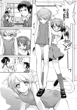 Page 17 of Alterna SP