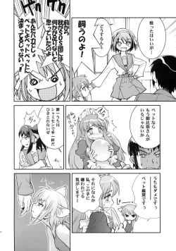 Page 18 of Alterna SP