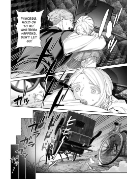 Page 11 of The Barbarians' Bride: The Fallen Princess | 蛮族の花嫁～墜ちた姫君～