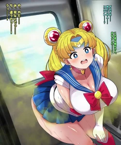 Page 16 of セーラームー●電車便意我慢