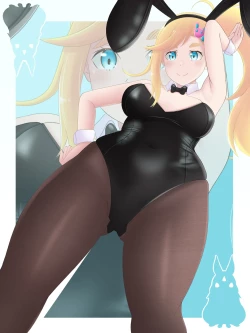 Page 24 of Re:Zero Bunny Girl Collection