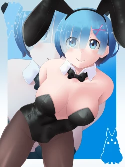 Page 2 of Re:Zero Bunny Girl Collection