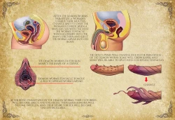 Page 223 of D Vs. N Chapters 1English translation