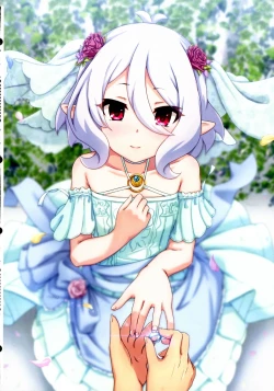 Page 31 of Colorful Connect 11th:Dive