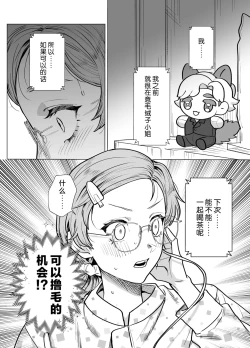 Page 11 of mofuritakatta dakenanoni!?| 明明我只是喜欢毛茸茸啊!?