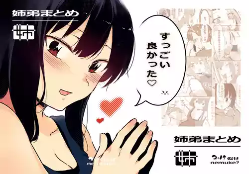 Download 姉弟まとめ：姉