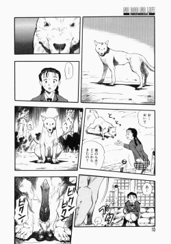 Page 12 of No Dog No Life