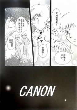 Page 52 of CANON4