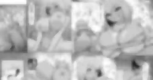 Download ImoutoHalloween