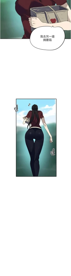 Page 379 of 秘密教学/The Class Of The Secret 241-256