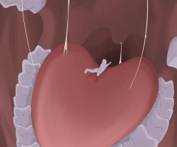 Page 36 of Comic Gallery