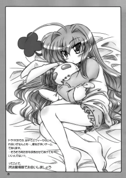 Page 25 of Nano Para 3