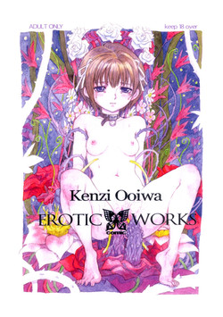 Download Kenzi Ooiwa EROTIC WORKS
