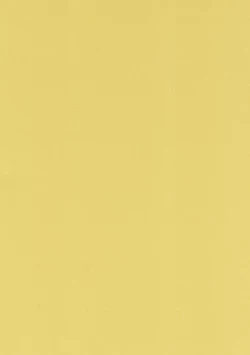 Page 29 of BELIEVE HEN