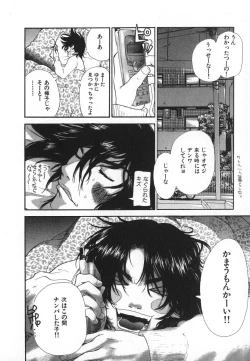 Page 13 of Pirontan 21