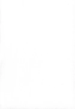 Page 201 of Pirontan 21