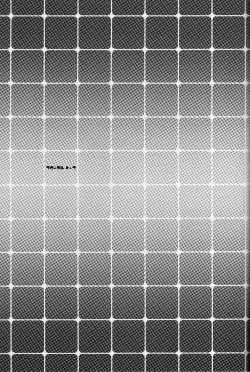 Page 26 of Floral Talk