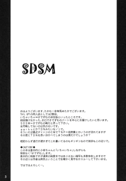 Page 2 of SDSM