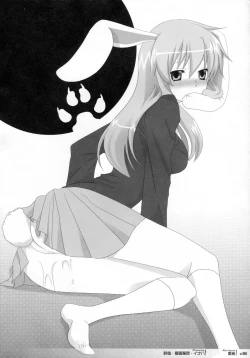 Page 38 of Touhou Kemomimi Hatsujousai