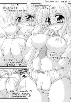 Page 46 of Touhou Kemomimi Hatsujousai