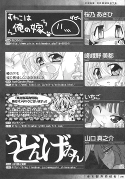 Page 86 of Touhou Kemomimi Hatsujousai