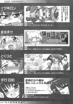 Page 89 of Touhou Kemomimi Hatsujousai