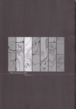 Page 3 of After The Love Affair