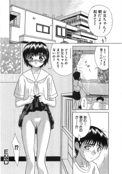 Page 229 of The Lolita